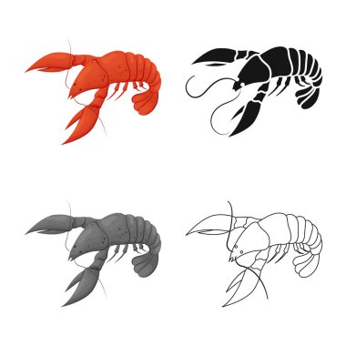 Istakoz ve kırmızı logo vektör tasarımı. Istakoz ve Atlantik hisse senedi vektör çizim.