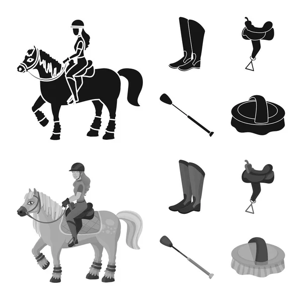 Projeto vetorial do equipamento e sinal de equitação. Coleta de equipamentos e ícone de vetor de competição para estoque . —  Vetores de Stock