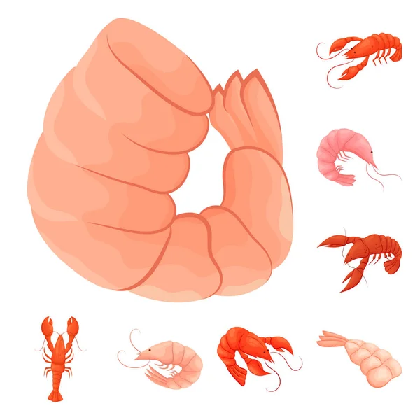 Objeto isolado de camarão e logotipo de caranguejo. Conjunto de camarão e caldo de mar símbolo para web . —  Vetores de Stock