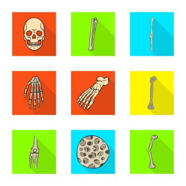 Kemik ve iskelet simge vektör tasarımı. Kemik ve web için insan hisse senedi simgesi.