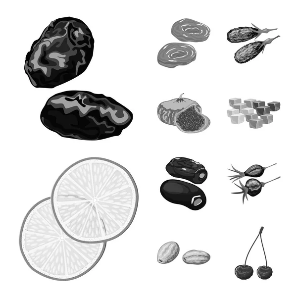 Ilustração vetorial de vitamina e logotipo da natureza. Conjunto de vitamina e vetor seco ícone para estoque . —  Vetores de Stock
