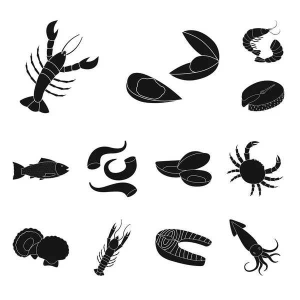 Diseño vectorial de mercado y logotipo marino. Colección de mercado y símbolo de stock de mar para web . — Vector de stock