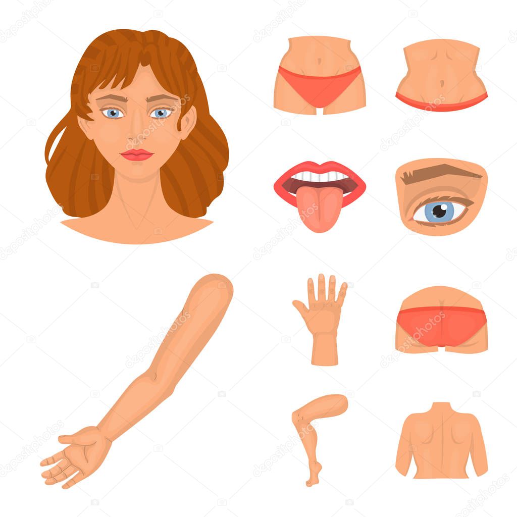 Vector illustration of body and part icon. Collection of body and anatomy vector icon for stock.