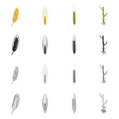 Yalıtılmış nesne tarım ve tarım sembolü. Hisse senedi için Tarım ve bitki vektör simge kümesi.