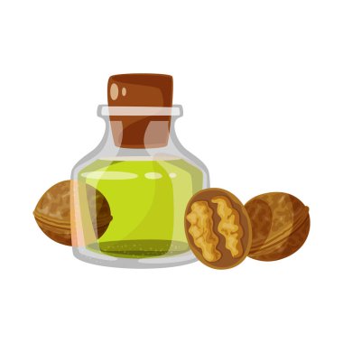 Ceviz ve gıda logosu vektör tasarımı. Ceviz ve soğuk stok vektör çizim koleksiyonu.