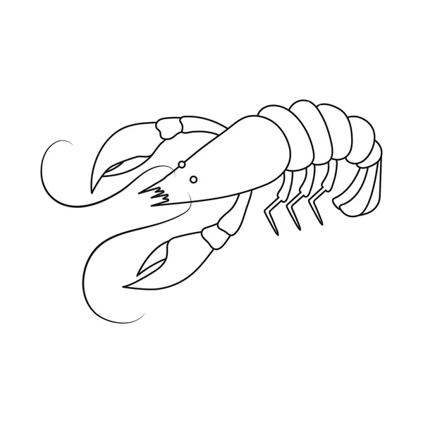 Vector illustration of lobster and red logo. Set of lobster and fresh  stock vector illustration. — Stock Vector