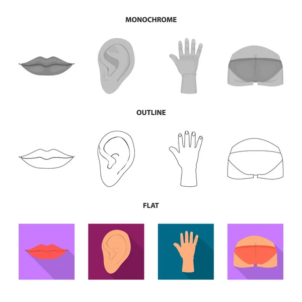 Isoliertes Körper- und Teilzeichenobjekt. Satz von Körper und Anatomie-Vektor-Symbol für Aktien. — Stockvektor