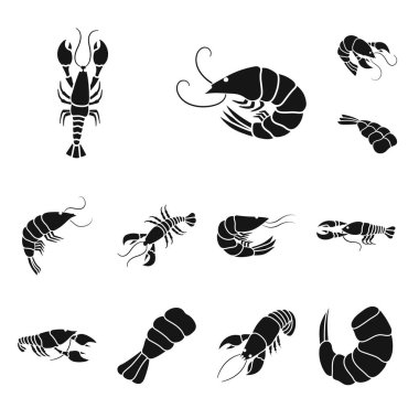 Et ve incelik simge vektör tasarımı. Et topluluğu ve hisse senedi için yengeç vektör simgesi.