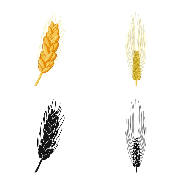 Illustration vectorielle de l'icône agricole et agricole. Collection d'icônes vectorielles agricoles et végétales pour le stock . — Image vectorielle