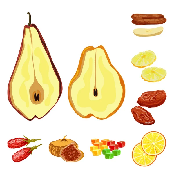 Geïsoleerde voorwerp van fruit en gedroogd teken. Set van fruit en voedsel voorraad vector illustratie. — Stockvector
