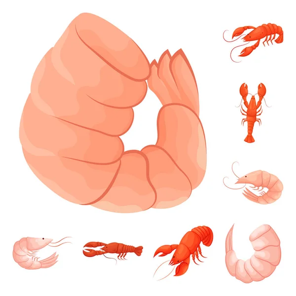 Diseño vectorial del logotipo de camarones y cangrejos. Colección de camarones y vector de mar icono para stock . — Archivo Imágenes Vectoriales