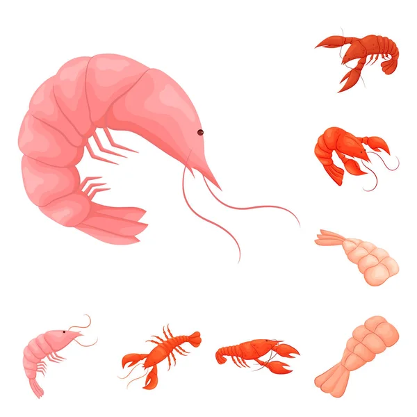 Ilustração vetorial do ícone de camarão e caranguejo. Coleção de camarão e estoque de mar símbolo para web . — Vetor de Stock