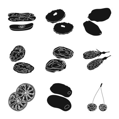 Vitamin ve doğa simge vektör tasarımı. Vitamin ve kurutulmuş hisse senedi vektör çizim koleksiyonu.