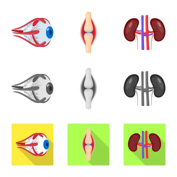 Objeto isolado de biologia e símbolo científico. Conjunto de biologia e ilustração vetorial de estoque de laboratório . — Vetor de Stock