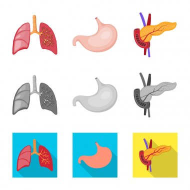 Biyoloji ve bilimsel simge vektör çizimi. Biyoloji ve laboratuvar hisse senedi vektör çizim topluluğu.