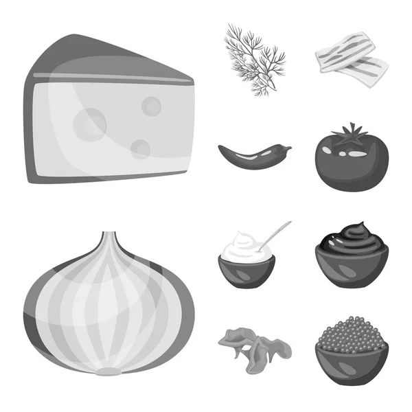 Diseño vectorial de especias e icono de aroma. Colección de especias e ilustración de vectores de stock de productos . — Vector de stock