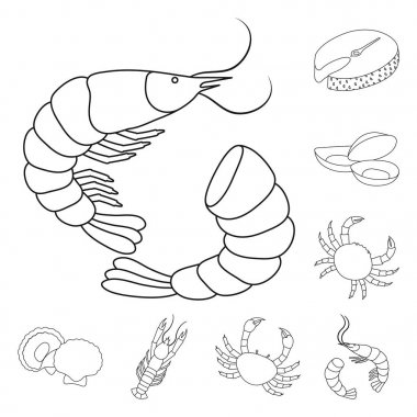 Vektör Illustration gıda ve deniz logosu. Stok için gıda ve sağlıklı vektör simgesi koleksiyonu.