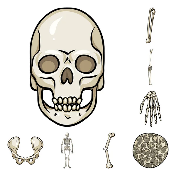 Vektoros illusztráció a csontok és a csontváz ikonra. Csont és emberi tőzsdei szimbólum a web. — Stock Vector