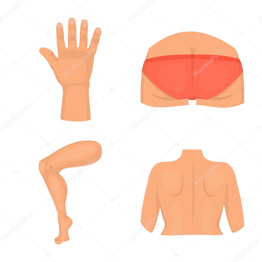 Vector design of body and part symbol. Set of body and anatomy stock symbol for web.