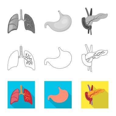 Biyoloji ve bilimsel simge vektör Illustration. Biyoloji ve laboratuvar hisse senedi vektör çizim topluluğu.