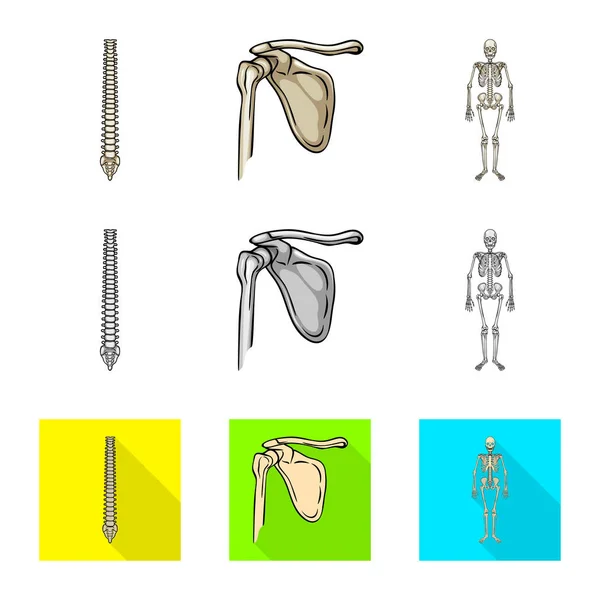 Geïsoleerde object van geneeskunde en kliniek teken. Verzameling van geneeskunde en medische aandelensymbool voor web. — Stockvector