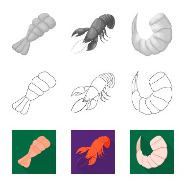 Meze ve okyanus işareti vektör tasarımı. Meze ve incelik hisse senedi vektör çizim seti.