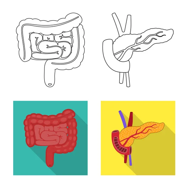 Objeto aislado de biología y logotipo científico. Conjunto de símbolo de stock de laboratorio y biología para web . — Vector de stock