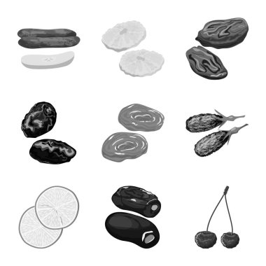 Vitamin ve doğa işareti vektör Illustration. Vitamin ve web için kurutulmuş hisse senedi simgesi toplama.