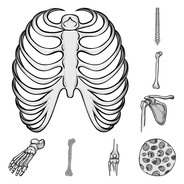 Diseño vectorial de la biología y el logotipo médico. Colección de biología y esqueleto stock vector ilustración . — Vector de stock