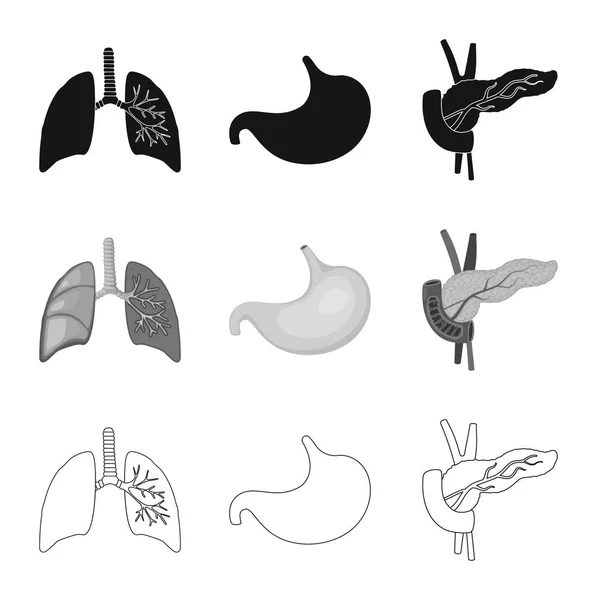 Objeto isolado de biologia e signo científico. Coleção de biologia e ilustração vetorial de estoque de laboratório . — Vetor de Stock