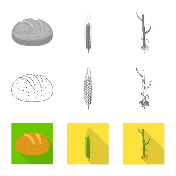 Tarım ve tarım simge vektör Illustration. Web için Tarım ve bitki hisse senedi simgesi kümesi. — Stok Vektör