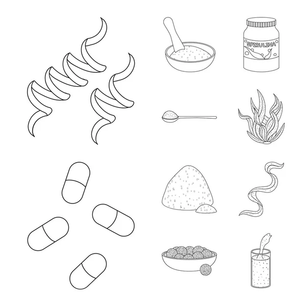 Ilustração vetorial de comida e símbolo vegan. Coleção de alimentos e plantas daninhas ilustração vetorial . —  Vetores de Stock