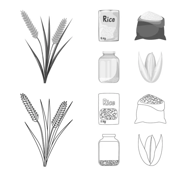 Изолированный объект урожая и экологический логотип. Набор векторных иллюстраций растительного и растительного поголовья . — стоковый вектор