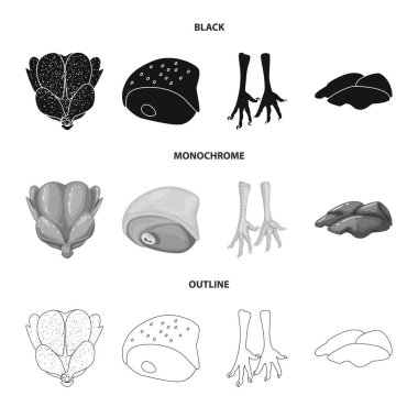 Ürün ve kümes hayvanları logo vektör Illustration. Ürün ve tarım hisse senedi vektör çizim topluluğu.
