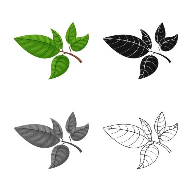 Çay ve yaprak logosu vektör tasarımı. Stok için çay ve taze vektör simgesi koleksiyonu.