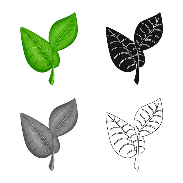 Ізольований об'єкт листя і значок рослин. Набір листя і зеленого запасу Векторні ілюстрації . — стоковий вектор