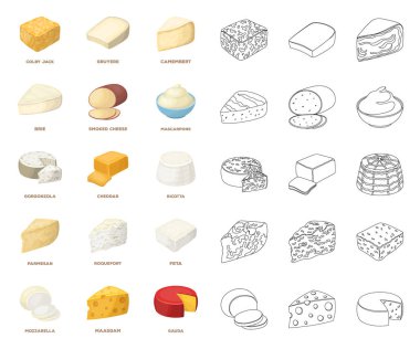 Farklı tür bir peynir çizgi film, anahat simgeleri design.Milk ürün peynir vektör simge stok web çizim için küme toplama.