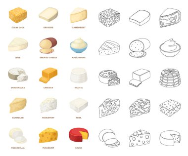 Different kind of cheese cartoon,outline icons in set collection for design.Milk product cheese vector symbol stock web illustration. clipart