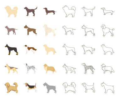 Köpek ırkları karikatür, set koleksiyonu tasarım için anahat simgeleri. Köpek evde beslenen hayvan vektör simge stok web çizim.