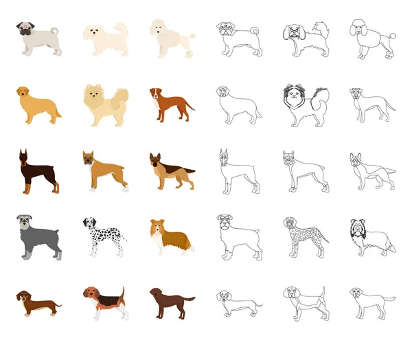 Psí plemena karikatura, osnovy ikony v nastavení kolekce pro design. Pes domácí vektor symbol akcií web ilustrace. — Stockový vektor