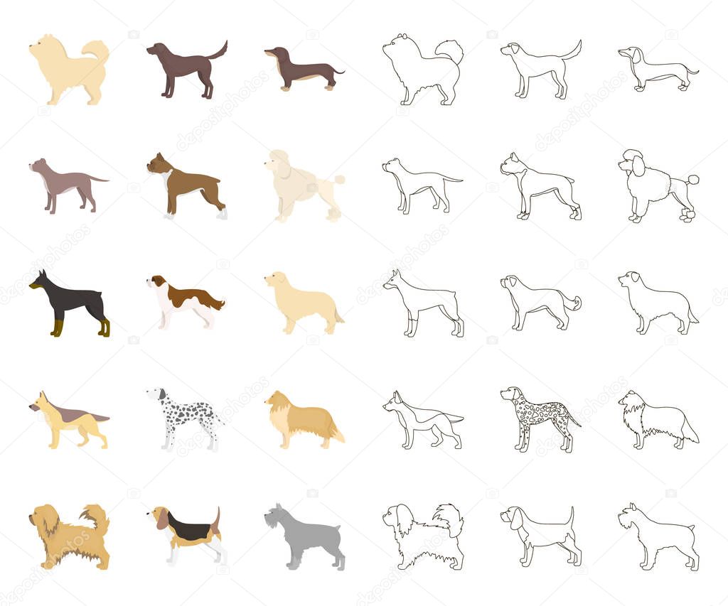 Dog breeds cartoon,outline icons in set collection for design.Dog pet vector symbol stock  illustration.