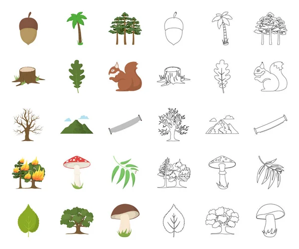 Bos en natuur tekenfilm, overzicht pictogrammen in set collectie voor design. Bos leven vectorillustratie symbool voorraad web. — Stockvector