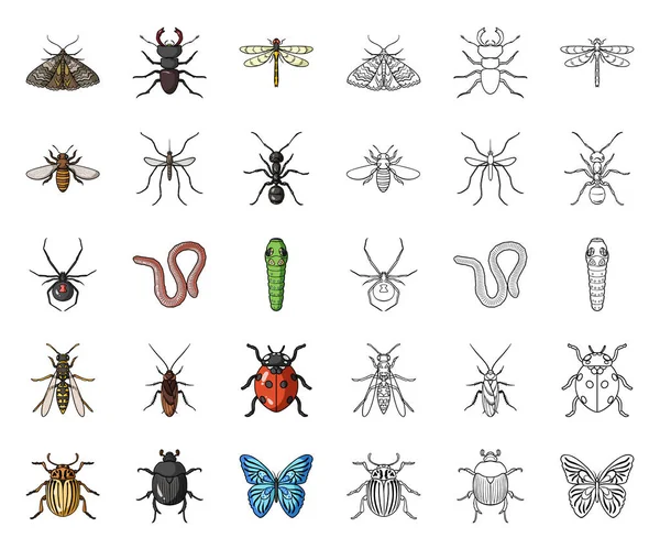 Diferentes tipos de dibujos animados de insectos, esbozan iconos en la colección de conjuntos para el diseño. Artrópodo insecto vector símbolo stock web ilustración . — Vector de stock