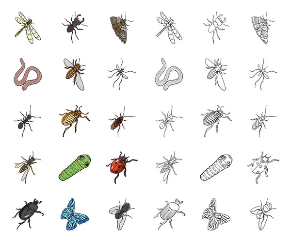 Verschiedene arten von insekten cartoon, umreißen symbole in set-sammlung für design. Insekt Arthropoden Vektor isometrisches Symbol Stock Web Illustration. — Stockvektor