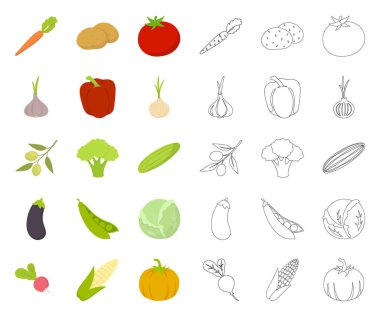 Sebze çeşitleri karikatür, set koleksiyonu tasarım için anahat simgeleri. Sembol stok web illüstrasyon vektör sebze ve vitaminler.