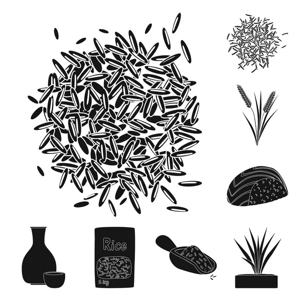 Illustration vectorielle du régime alimentaire et signe de cuisson. Collecte de l'alimentation et du symbole de stock biologique pour la toile . — Image vectorielle