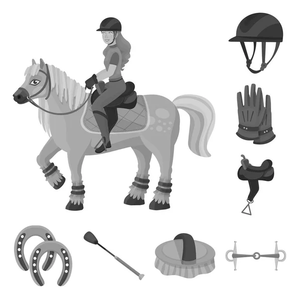 Vektorová ilustrace rasy a ikony koní. Sada symbolů závodních a závodních akcií pro web. — Stockový vektor
