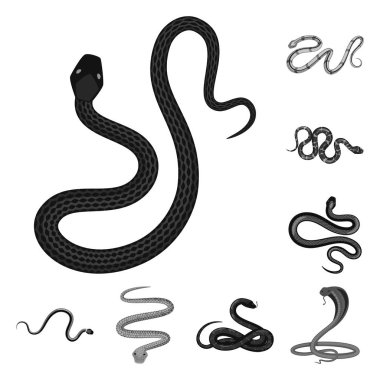 Tasarım zarar vektör ve logo ısır. Web için zarar ve sürüngen hisse senedi simgesi kümesi.