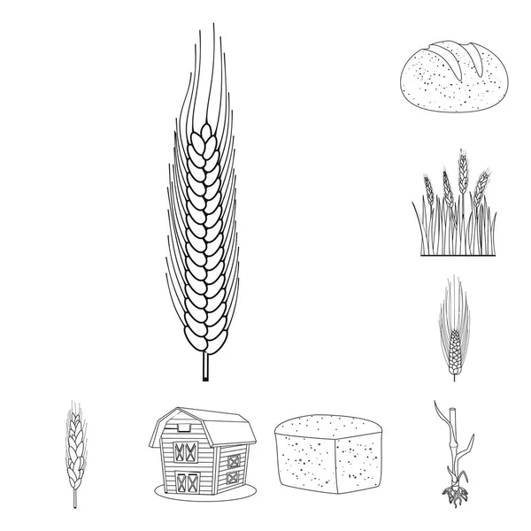 Isolado objeto de agricultura e ícone agrícola. Conjunto de agricultura e ícone de vetor de planta para estoque . — Vetor de Stock