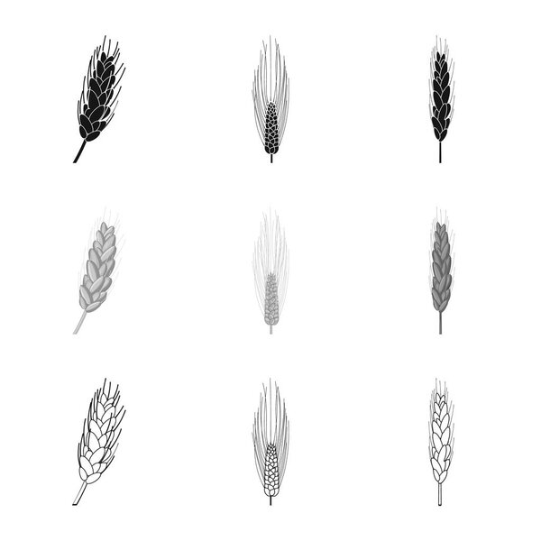 Vector design of agriculture and farming icon. Set of agriculture and plant  stock vector illustration.